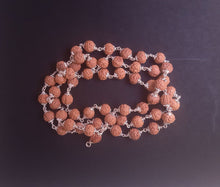 Load image into Gallery viewer, 54+1 beads 6 Mukhi rudraksha mala with silver capping - Rudradhyay