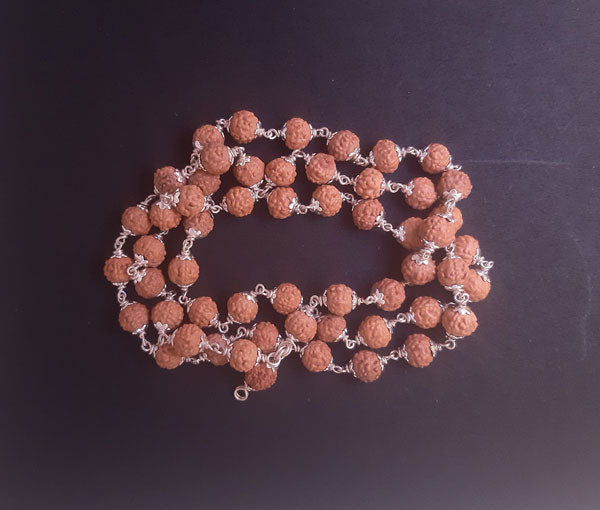 54+1 beads 6 Mukhi rudraksha mala with silver capping - Rudradhyay