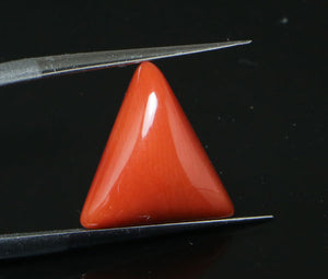 Red Coral - 6.30 Carat