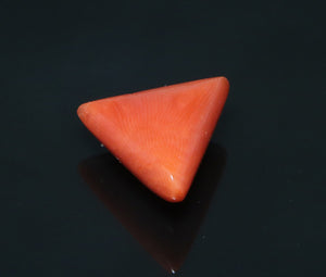 Red Coral - 6.95 Carat
