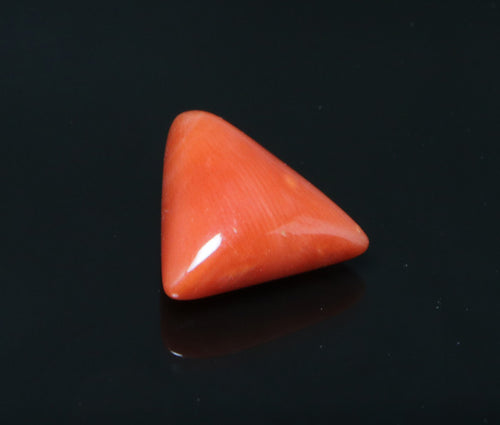 Red Coral - 5.05 Carat