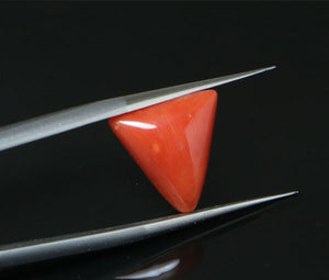 Red Coral - 5.05 Carat