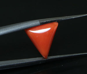 Red Coral - 5.25 Carat