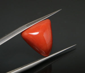 Red Coral - 9.35 Carat
