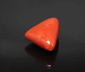 Red Coral - 8.50 Carat