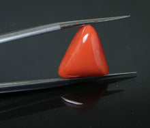 Load image into Gallery viewer, Red Coral - 8.50 Carat