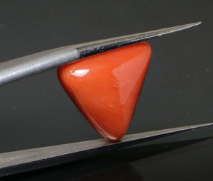 Red Coral - 9.50 Carat