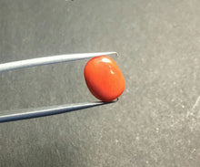 Load image into Gallery viewer, 5.15ct italian red coral(मूंगा) - Rudradhyay