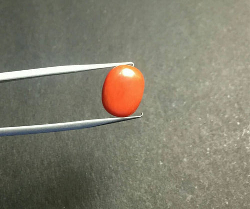 5.15ct italian red coral(मूंगा) - Rudradhyay