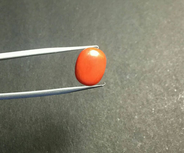 5.15ct italian red coral(मूंगा) - Rudradhyay