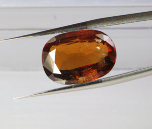 Hessonite(Ceylon) - 9.15 Carat