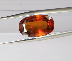 Hessonite(Ceylon) - 7.90 Carat