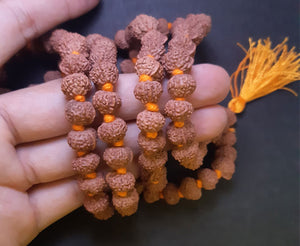 Ganesha Rudraksha mala (Indonesian beads) - Rudradhyay