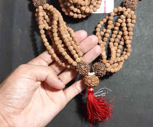 Rudra kantha mala with 1008 beads - Rudradhyay