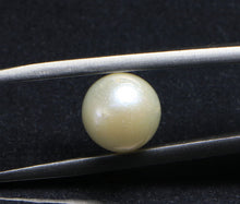 Load image into Gallery viewer, South Sea Pearl - 4.35 Carat