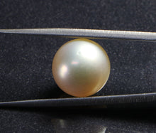 Load image into Gallery viewer, South Sea Pearl - 13.40 Carat