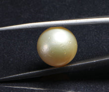 Load image into Gallery viewer, South Sea Pearl - 13.60 Carat