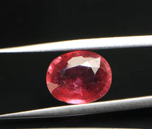Load image into Gallery viewer, Ruby(mozambique) - 3.90 Carat