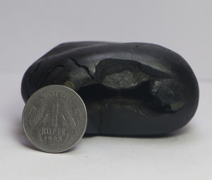 Lakshmi Narayana Shaligram