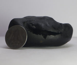 Lakshmi Narayana Shaligram