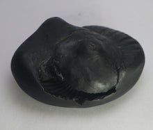 Load image into Gallery viewer, Lakshmi Narayana Shaligram