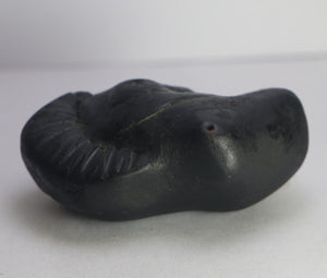 Lakshmi Narayana Shaligram