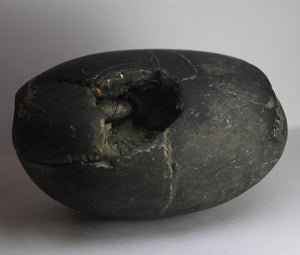 Lakshmi Narayana Shaligram