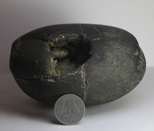 Lakshmi Narayana Shaligram