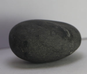 Lakshmi Narayana Shaligram