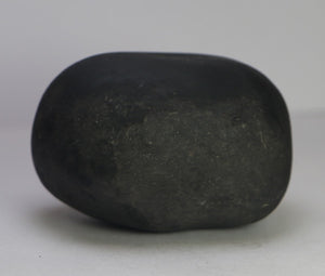 Lakshmi Narayana Shaligram