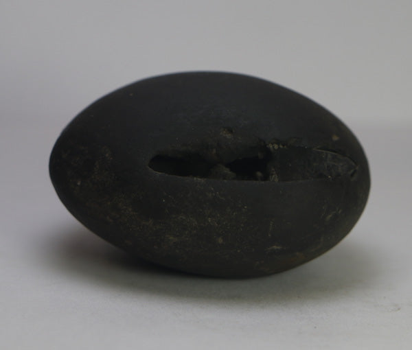 Lakshmi Narayana Shaligram