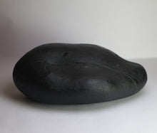 Load image into Gallery viewer, Lakshmi Narayana Shaligram