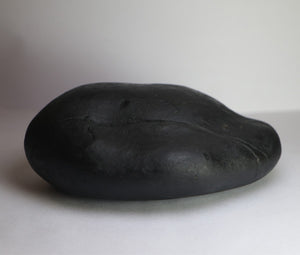 Lakshmi Narayana Shaligram