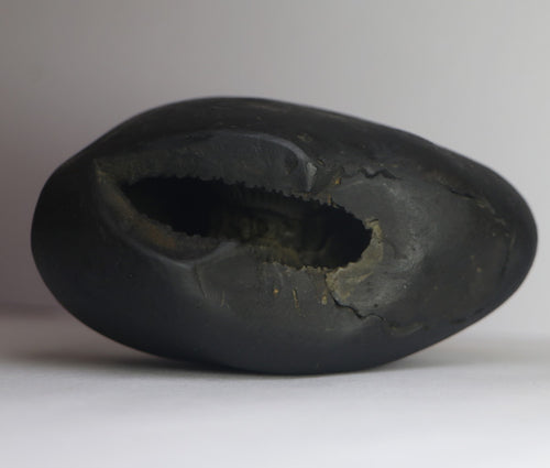 Lakshmi Narayana Shaligram