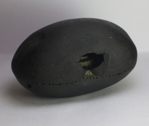 Lakshmi Narayana Shaligram