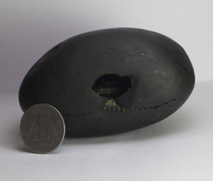 Lakshmi Narayana Shaligram