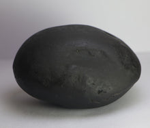 Load image into Gallery viewer, Lakshmi Narayana Shaligram