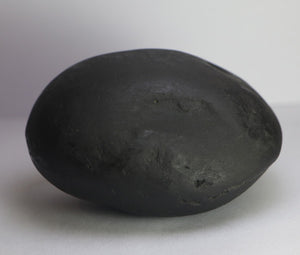 Lakshmi Narayana Shaligram