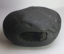 Load image into Gallery viewer, Lakshmi Narayana Shaligram