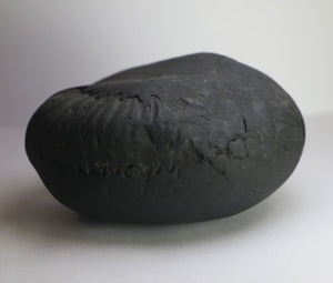 Lakshmi Narayana Shaligram