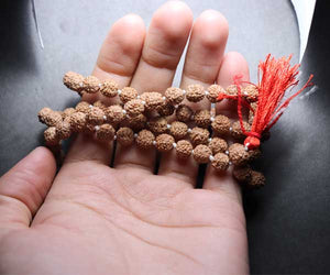 5 face rudraksha mala with 108+1 beads - Rudradhyay