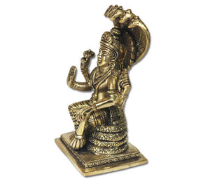 Lord Vishnu (Narayana) sitting on Sheshnag - Rudradhyay